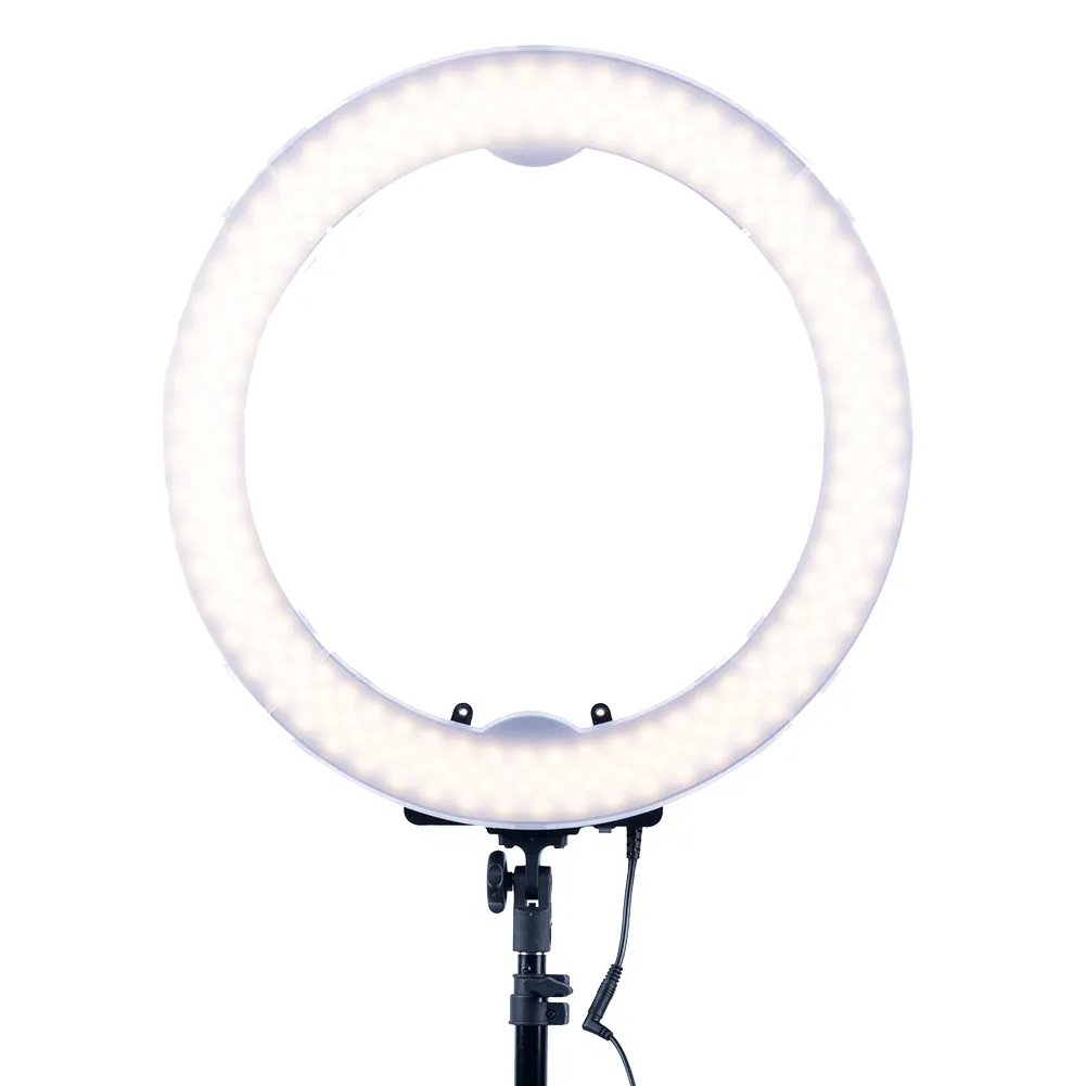 19" LED RGB Rainbow Ring Light - 'Unicorn'