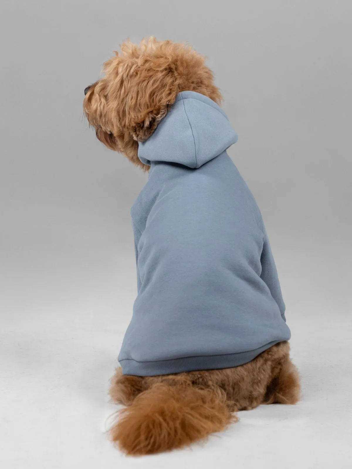 Signature Paw Hoodie